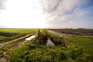 Country landscapes outside of the town of Ferwert, the Netherlands