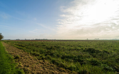 Fototapeta na wymiar Agricultural fields near Blije, the Netherlands