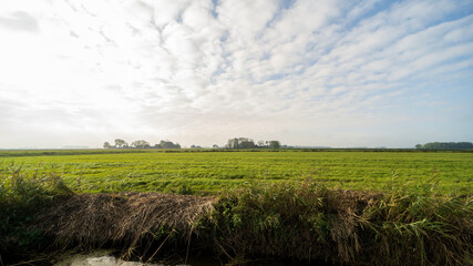 Agricultural fields near Blije, the Netherlands