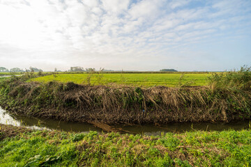 Agricultural fields near Blije, the Netherlands