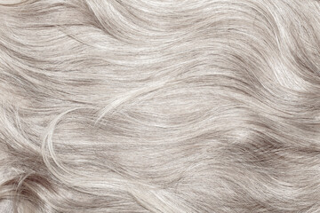 Blond hair close-up as a background. Women's long blonde hair. Beautifully styled wavy shiny curls....