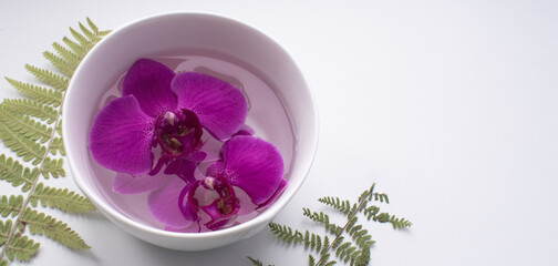 Crimson orchid flowers float in the water in a white porcelain cup.