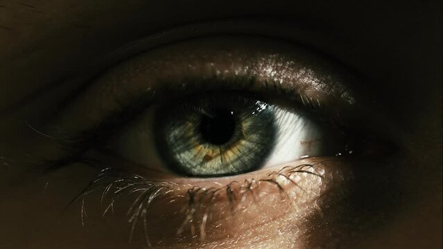 Human eye iris opening pupil extreme close up