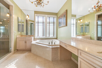 Bathroom images with sink vanity mirror bathtub and shower