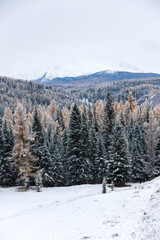 View of Ulagan Highlands in Altay mountains