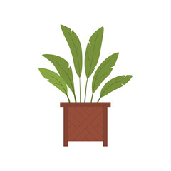 Decorative potted plant. Garden landscape, outdoor furniture and objects cartoon vector illustration