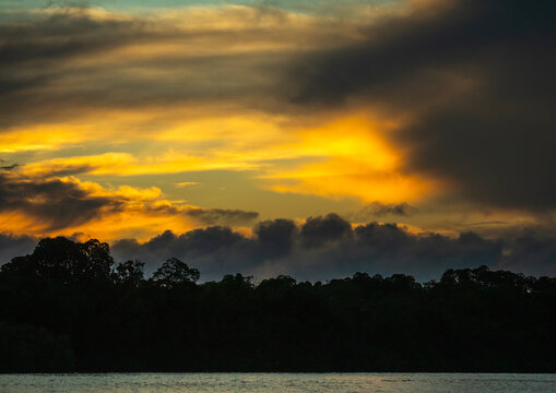 Mangrove at sunset, Lamu County, Lamu, Kenya