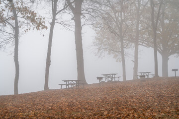 foggy November morning on a shore of the Tennessee River at Colbert Ferry Park, Natchez Trace...