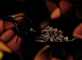Black caviar of the highest quality, one caviar on a black spoon, on a fork. Beautiful background.