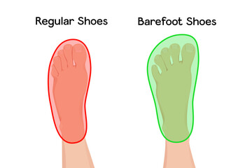 Barefoot and regular shoes vector illustration infographic. - obrazy, fototapety, plakaty