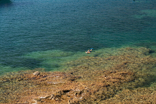 trees and transparent waters of the Costa Brava are ideal for snorkeling