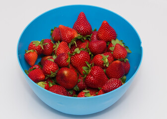 Detail of a blue plastic bowl with very good looking organic strawberries.