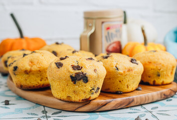 Pumpkin Muffin with chocolate chips