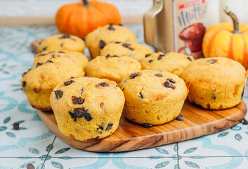 Pumpkin Muffin with chocolate chips