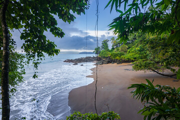 Beach and forest of Drake bay (Costa Rica)