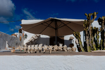 Columna vertebral marina © Francisco