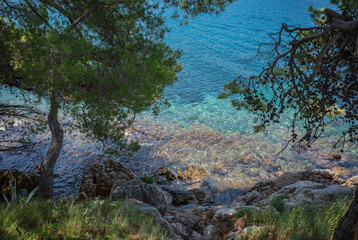 Adriatic sea shore at Cavtat, Croatia. Pine tree bent over blue clear water.

