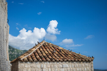 Several pigeons perched on red tile roof of on of the towers of Sokol fortress, Croatia, on background of blue clear sky
