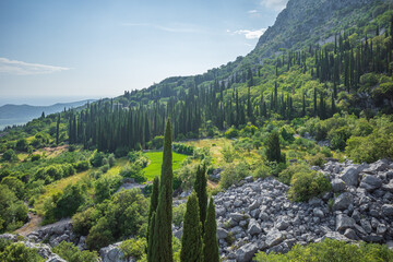 View from Sokol fortress, Croatia, to cliffs grown with green cypresses