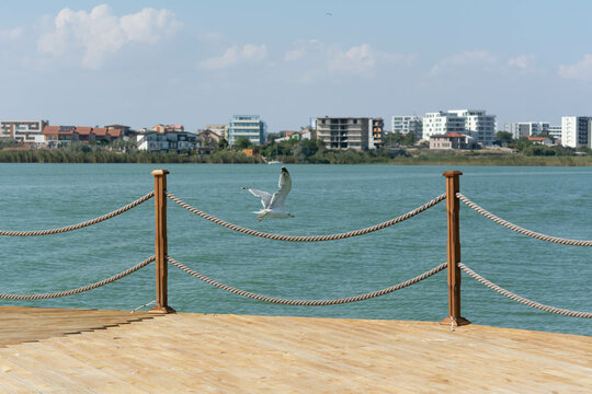 Flying Seagull. A seagull flies over a river pier on the river Lake Syutgiol, selective focus, shallow depth of field