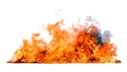Poster Vuur fire isolated on transparent background cutout