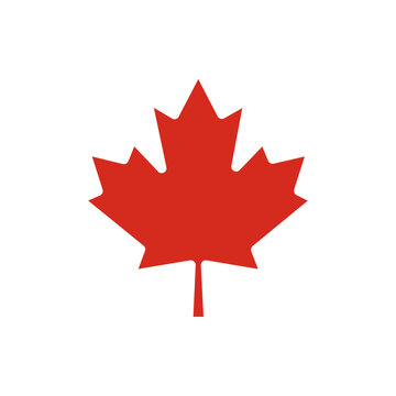 Canadian maple leaf vector