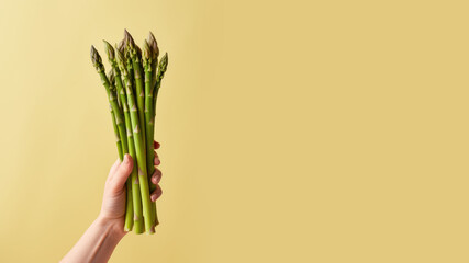 Hand holding asparagus vegetable isolated on pastel background