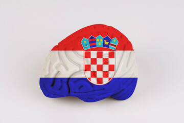 On a white background, a model of the brain with a picture of a flag - Croatia