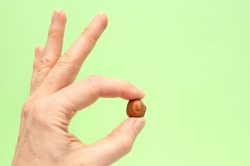 Woman holding organic hazelnut nut in hands. Nutrition healthy food choice concept. Calories...