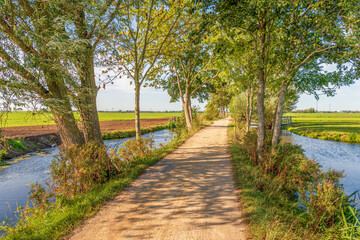 Summer and sunny day in the Alblasserwaard region in the Netherlands. A long and narrow country...