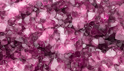 Fototapeta premium Amethyst pink crystals. Gems. Mineral crystals in the natural environment. Texture of precious and semiprecious stones. Seamless background with copy space colored shiny surface of precious stones.
