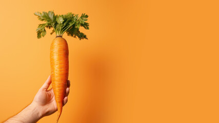 Hand holding carrot vegetable isolated on pastel background - obrazy, fototapety, plakaty