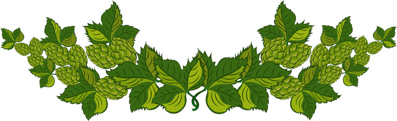 illustration hops on transparent, png, hops plant, hop leaves, hop symbol, beer symbol, brewery emblem © 151115