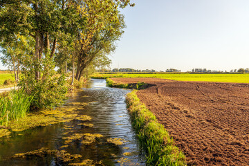 Picturesque image of a newly plowed field bordering a ditch in a Dutch polder. Tall willow trees...