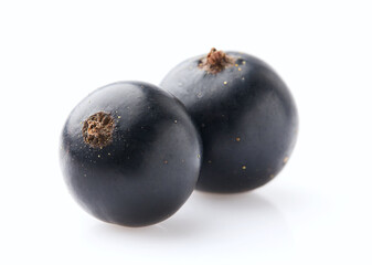 Black currant on white background