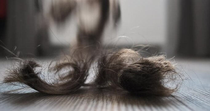 Hair falls to floor. Concept of barber services, short hair, haircuts, haircuts, style change, barbershop work, cut bald.