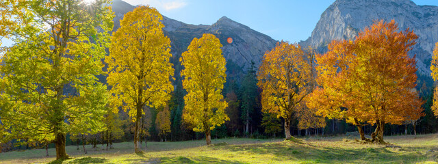Obraz premium Ahornboden im Herbst mit Karwendelgebirge, Eng-Tal, Tirol, Österreich, Panorama 