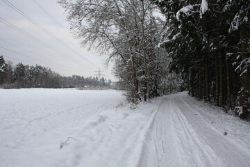 Obraz premium winter