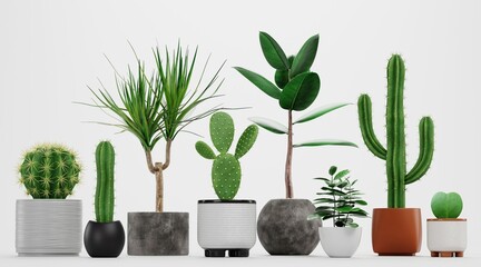 Realistic 3D Render of Home Plants