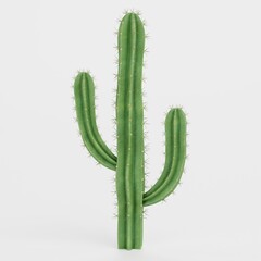 Realistic 3D Render of Saguaro Cactus