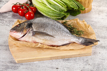 Raw dorada fish served rosemary