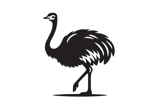 recommend clip art: Simple black icon logo ostrich emu