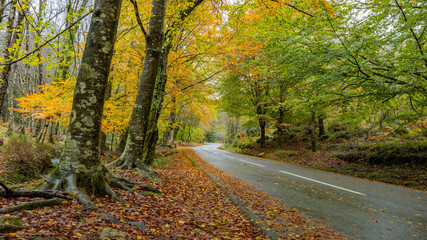 Fototapeta na wymiar Autumn landscape at Geres National Park