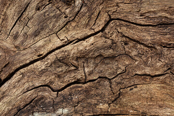 Old wood texture with cracks and fibers