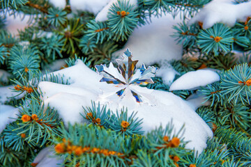 Sunlit Crystal Snowflake on Fir Branches