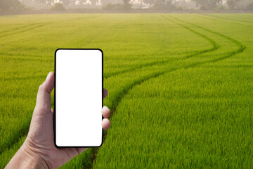 Man hand holding smartphone with blank screen and blurred background of curve line sprayer tractor...