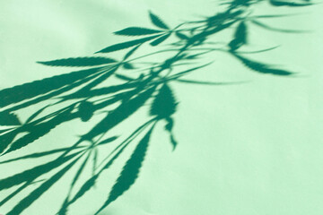 Shadow of a marijuana branch on a green background. View from above