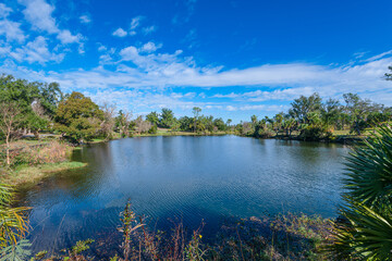 Tranquil reflects on the shores of Lake Caroline in Panama City, Florida, where the vibrant green foliage meets the serene blue sky, creating a picturesque lakeside haven.