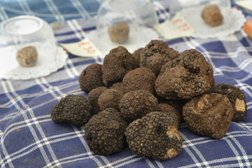 Group of black truffles in Italian market
