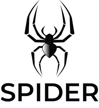 spider on a web logo, Spider logo template. Spider icon. Flat spider. Minimalist spider logo design, spider logo icon vector illustration